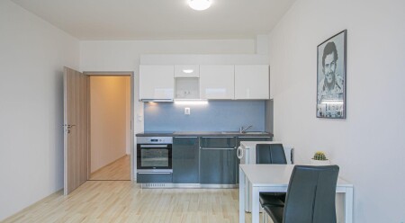 Pronájem moderního bytu 1+kk, ul. Aloise Rašína, Olomouc